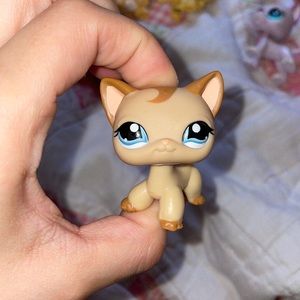 Brown cat littlest pet shop 1024